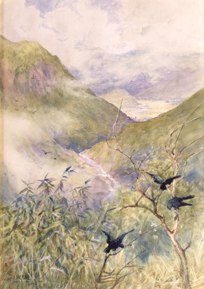 Blick über die Lilien: Das Tal von Nikko, Blick nach Osten in Richtung der Provinz Shimo-no-Tsuke, ca. 1889 von Alfred East