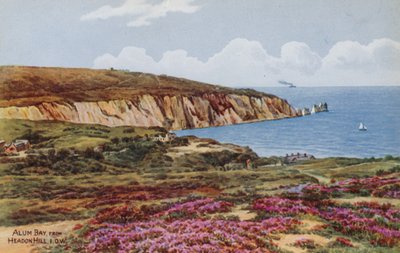Alum Bay, von Headon Hill, IOW von Alfred Robert Quinton