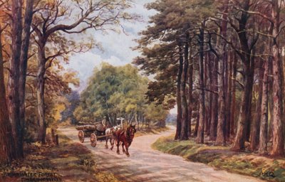 Broadwater Forest, Tunbridge Wells von Alfred Robert Quinton
