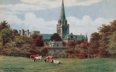 Chichester, Kathedrale, von den Wiesen von Alfred Robert Quinton
