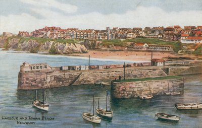 Hafen und Towan Beach, Newquay von Alfred Robert Quinton
