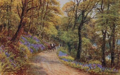 Hobby Drive, Clovelly von Alfred Robert Quinton
