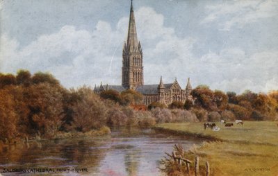 Kathedrale von Salisbury von Alfred Robert Quinton