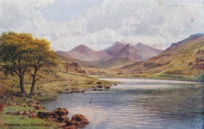 Snowdon, von Capel Curig von Alfred Robert Quinton
