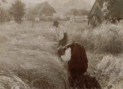 Früher Morgen von Alfred Stieglitz