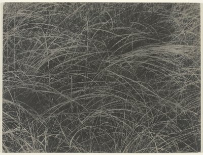 Äquivalent, 1927 von Alfred Stieglitz