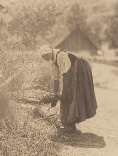 Ernte von Alfred Stieglitz