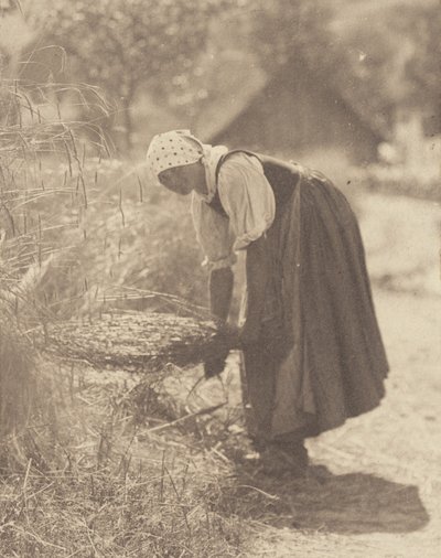 Unterbrochen von Alfred Stieglitz
