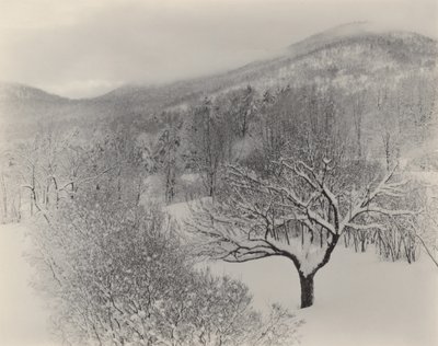 Lake George von Alfred Stieglitz