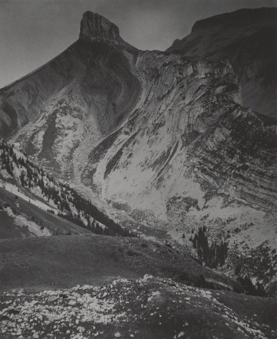 Schweiz oder Deutschland von Alfred Stieglitz