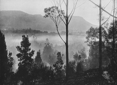 Der frühe Morgennebel steigt in Nuwara Eliya, ca. 1890, 1910 von Alfred William Amandus Plate