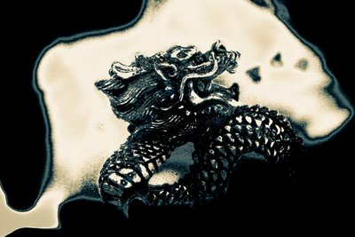Feuer speiender Drache von Alice Gur Arie
