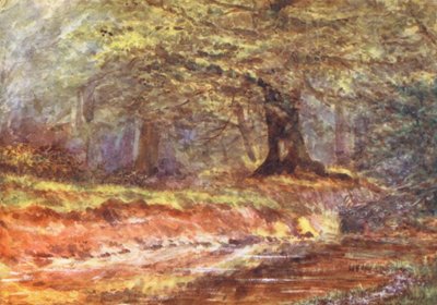 New Forest: In der Königinnenlaube, Mittsommer von Alice Julia Argles