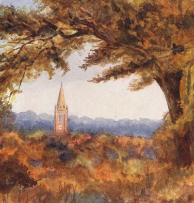 New Forest: Lyndhurst Kirche vom Cut Walk, November von Alice Julia Argles