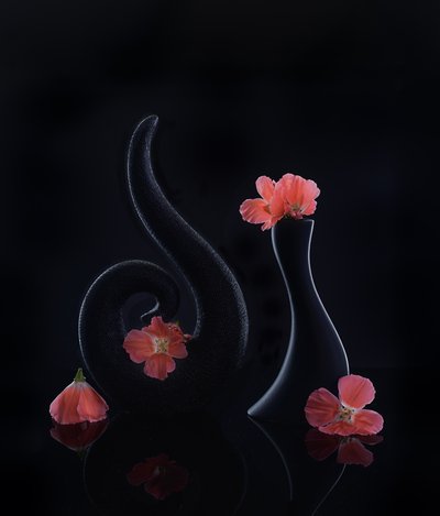  von Alice Sheng