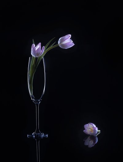  von Alice Sheng