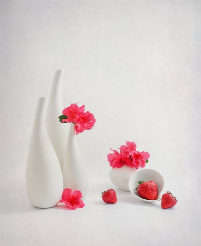  von Alice Sheng