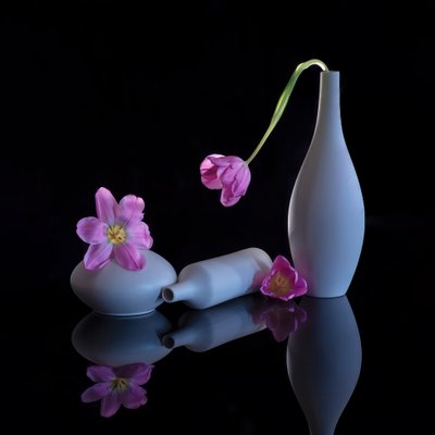  von Alice Sheng