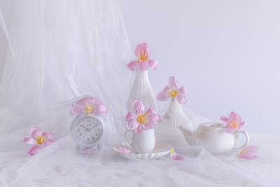  von Alice Sheng