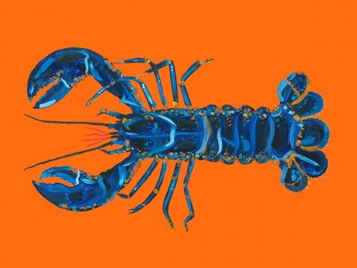 Lebendiger blauer Hummer von Alice Straker