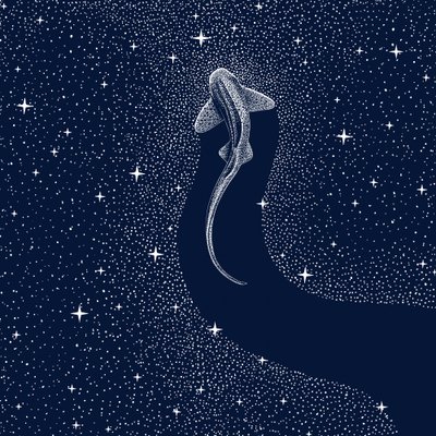 Kosmischer Hai von Alirıza ÇAKIR