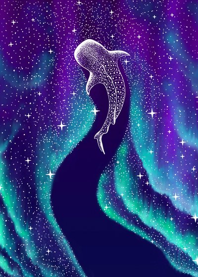 Nordlichter Walhai von Alirıza ÇAKIR