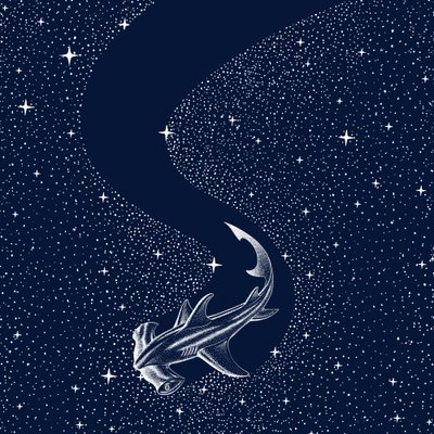 Sternen-Hammerhai von Alirıza ÇAKIR