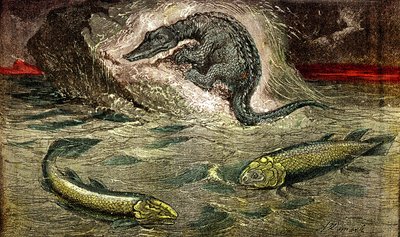 Übergang von Fischen zu Reptilien: Proteosaurier (oben) Reptil aus Fisch, Kohlezeit. Der Holoptychius unten links und der Osteolepis rechts. 1885. Natürliche Schöpfung & Lebewesen. Zeichnung von A. Demarle von Alphonse Demarle