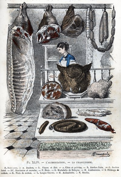 Ansicht von Aufschnitt. Ein halbes Schwein (ein Schinken, Aloyau, Rippen und Brust), frischer Schinken, geräucherter Schinken, Würste und Cerevelas, Hure, Mortadella aus Bologna, Schinken, Schweinekäse, Schweinefüße, gefüllte Zunge, Andouillette, Blutwurst von Alphonse Demarle