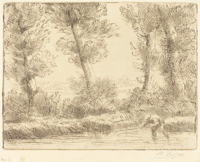 Ufer der Liane von Alphonse Legros