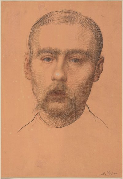 Kopf eines Mannes (Möglicherweise Porträt von Professor E.D. Adams) von Alphonse Legros