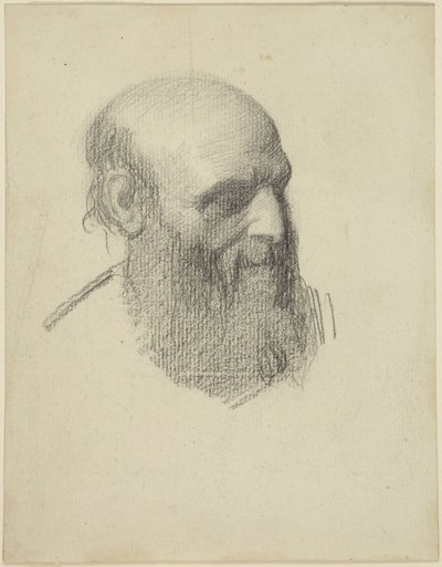 Kopf eines bärtigen Mannes von Alphonse Legros