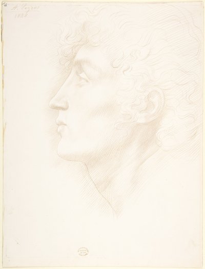 Kopf eines irischen Mädchens von Alphonse Legros