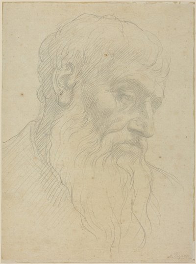 Studie eines Kopfes von Alphonse Legros