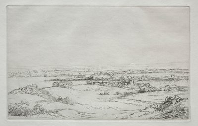Die Wiese am See La Plaine Près Du Lac von Alphonse Legros