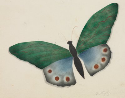 Schmetterling von Altha Mary Nims