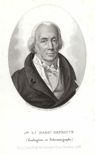 Jacques-Louis Marin de France von Ambroise Tardieu
