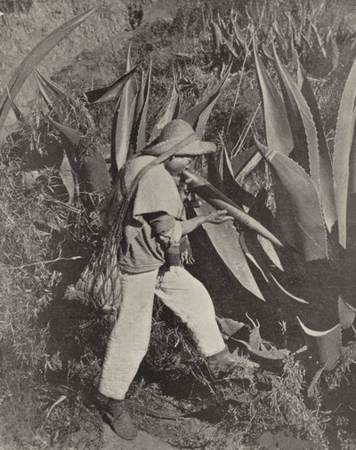 Ein mexikanischer Pulque-Sammler von American Photographer (after)