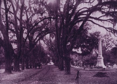 Bonaventure Cemetery, Savannah, Georgia von American Photographer (after)