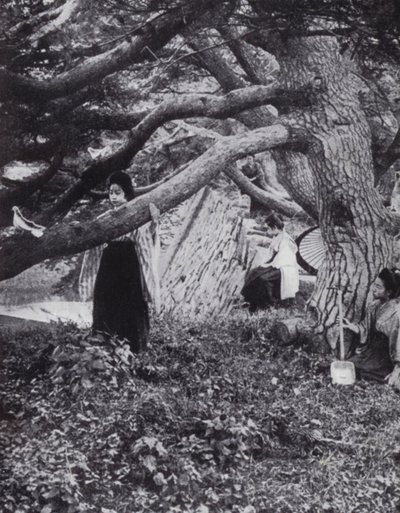Japanische Mädchen unter den alten Kiefern am alten kaiserlichen Graben in Tokio von American Photographer (after)