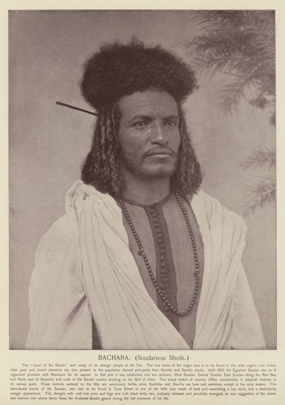Bachara, Sudanischer Scheich von American Photographer