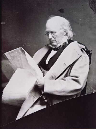 Horace Greeley (1811-72) von American Photographer