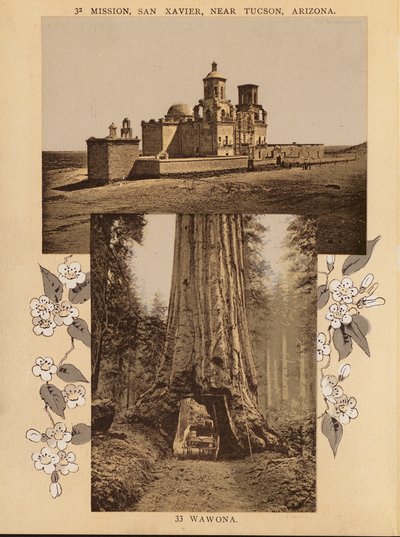 Mission, San Xavier, in der Nähe von Tucson, Arizona; Wawona von American Photographer