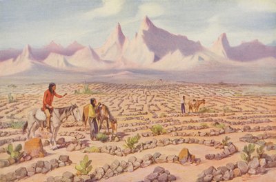 Mystisches Labyrinth der Mojave-Indianer, in der Nähe von Needles, Kalifornien von American Photographer