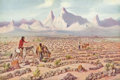 Mystisches Labyrinth der Mojave-Indianer, nahe Needles, Kalifornien von American Photographer
