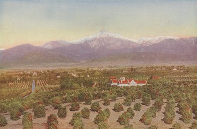 Redlands, Kalifornien, Blick von Smiley Heights (Farbfoto) von American Photographer