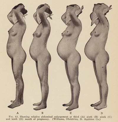 Anzeichen und Symptome der Schwangerschaft von American Photographer