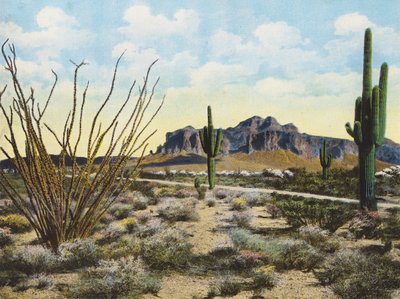 Superstition Mountain und Wüste, "Apache Trail" von American Photographer