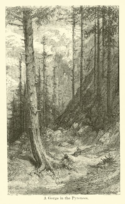 Eine Schlucht in den Pyrenäen von American School