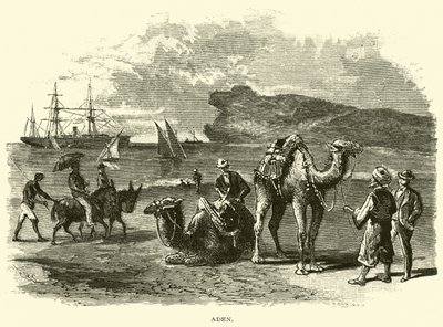 Aden von American School